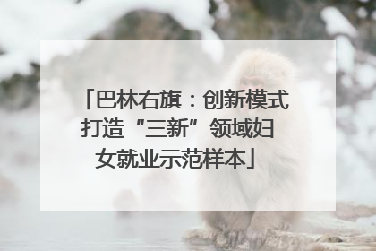 巴林右旗：创新模式 打造“三新”领域妇女就业示范样本