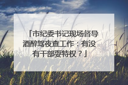 市纪委书记现场督导酒醉驾夜查工作：有没有干部耍特权？