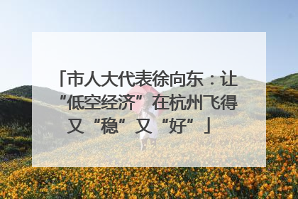 市人大代表徐向东：让“低空经济”在杭州飞得又“稳”又“好”