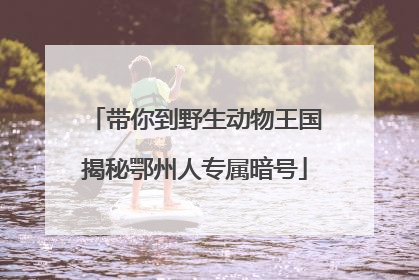 带你到野生动物王国揭秘鄂州人专属暗号