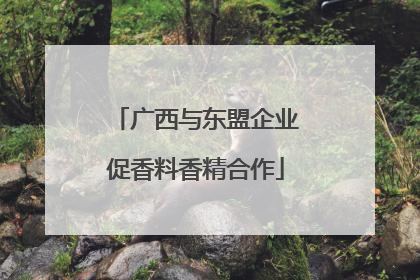 广西与东盟企业促香料香精合作