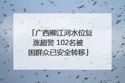 广西柳江河水位复涨超警 102名被困群众已安全转移
