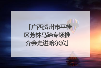 广西贺州市平桂区芳林马蹄专场推介会走进哈尔滨