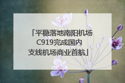 平稳落地南阳机场 C919完成国内支线机场商业首航
