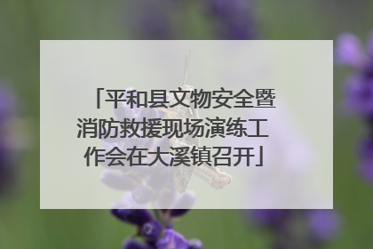 平和县文物安全暨消防救援现场演练工作会在大溪镇召开