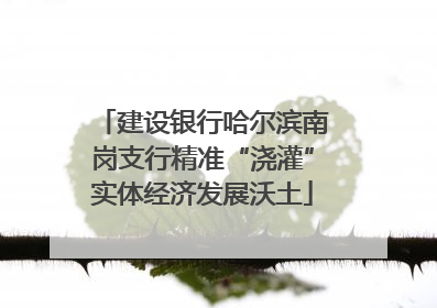 建设银行哈尔滨南岗支行精准“浇灌”实体经济发展沃土