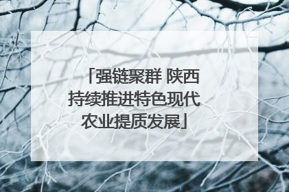 强链聚群 陕西持续推进特色现代农业提质发展