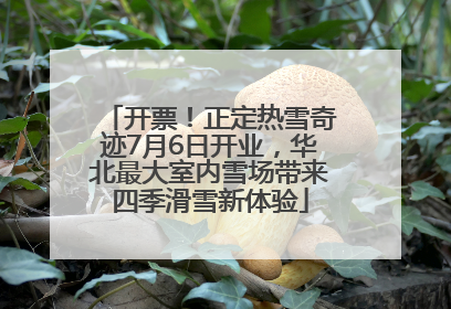 开票！正定热雪奇迹7月6日开业，华北最大室内雪场带来四季滑雪新体验