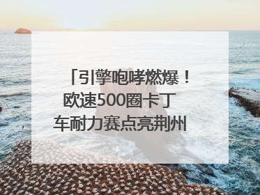 引擎咆哮燃爆！欧速500圈卡丁车耐力赛点亮荆州文旅新名片