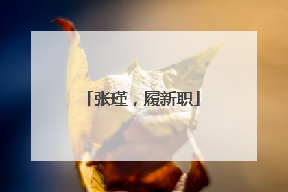 张瑾，履新职