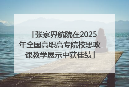 张家界航院在2025年全国高职高专院校思政课教学展示中获佳绩