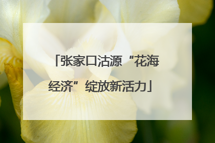 张家口沽源“花海经济”绽放新活力