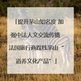 提升茅山知名度 加强中法人文交流传播 法国旅行商踩线茅山“道养文化产品”
