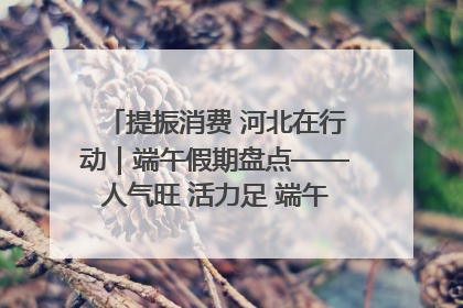 提振消费 河北在行动｜端午假期盘点——人气旺 活力足 端午经济“热浪”迭起