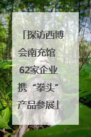 探访西博会南充馆 62家企业携“拳头”产品参展