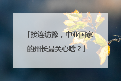 接连访豫，中亚国家的州长最关心啥？