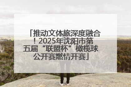推动文体旅深度融合！2025年沈阳市第五届“联盟杯”橄榄球公开赛燃情开赛