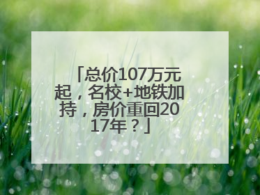 总价107万元起，名校+地铁加持，房价重回2017年？
