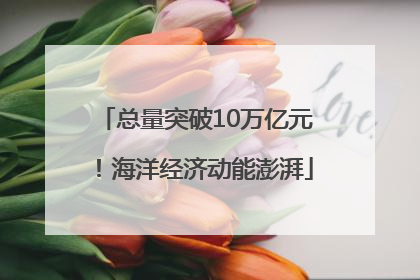 总量突破10万亿元！海洋经济动能澎湃