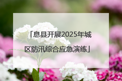 息县开展2025年城区防汛综合应急演练