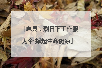 息县：烈日下工作服为伞 撑起生命阴凉