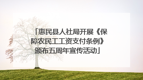 惠民县人社局开展《保障农民工工资支付条例》颁布五周年宣传活动