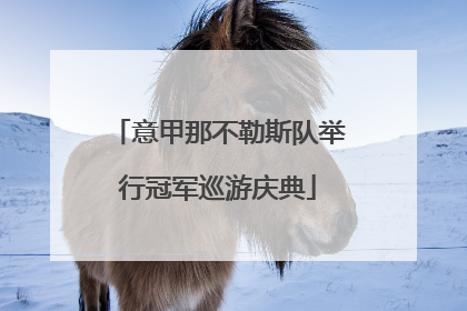 意甲那不勒斯队举行冠军巡游庆典