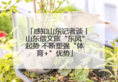 感知山东记者谈丨山东借文旅“东风”起势 不断塑强“体育+”优势