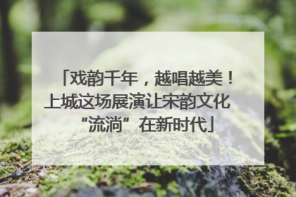 戏韵千年，越唱越美！上城这场展演让宋韵文化“流淌”在新时代