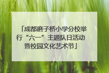 成都磨子桥小学分校举行“六一”主题队日活动暨校园文化艺术节