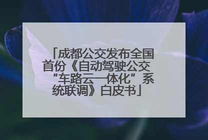 成都公交发布全国首份《自动驾驶公交“车路云一体化”系统联调》白皮书