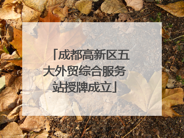 成都高新区五大外贸综合服务站授牌成立