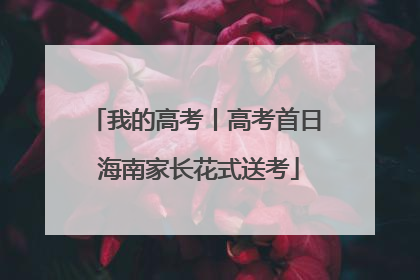 我的高考丨高考首日 海南家长花式送考