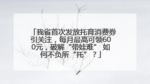 我省首次发放托育消费券引关注，每月最高可领600元，破解“带娃难” 如何不负所“托”？