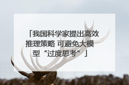 我国科学家提出高效推理策略 可避免大模型“过度思考”