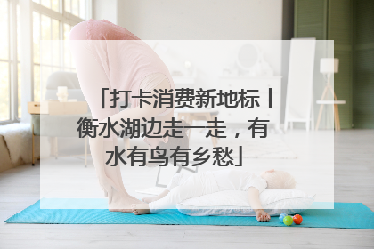 打卡消费新地标丨衡水湖边走一走，有水有鸟有乡愁
