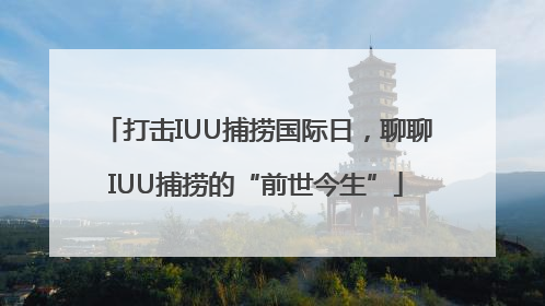 打击IUU捕捞国际日，聊聊IUU捕捞的“前世今生”