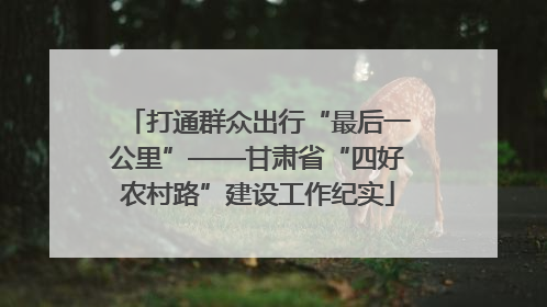 打通群众出行“最后一公里”——甘肃省“四好农村路”建设工作纪实