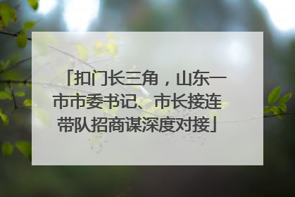 扣门长三角，山东一市市委书记、市长接连带队招商谋深度对接