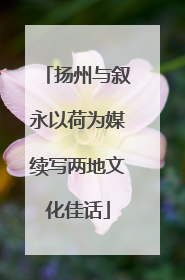 扬州与叙永以荷为媒续写两地文化佳话