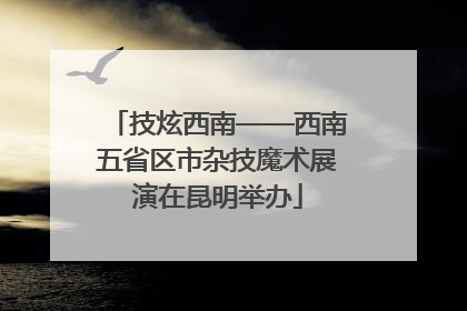 技炫西南——西南五省区市杂技魔术展演在昆明举办