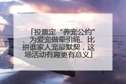 投票定“养宠公约”、为爱宠做牵引绳、比拼谁家人宠最默契，这场活动有趣更有意义