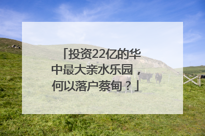 投资22亿的华中最大亲水乐园，何以落户蔡甸？