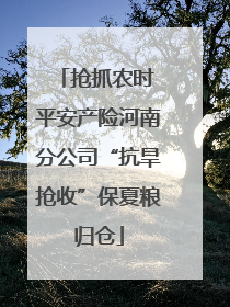 抢抓农时 平安产险河南分公司“抗旱抢收”保夏粮归仓