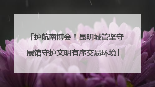 护航南博会！昆明城管坚守展馆守护文明有序交易环境