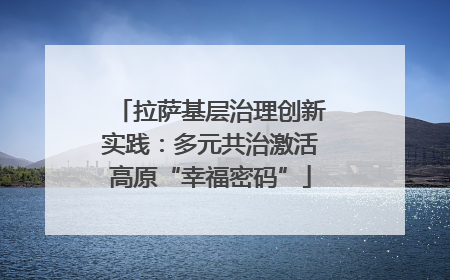 拉萨基层治理创新实践：多元共治激活高原“幸福密码”
