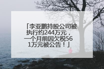 李亚鹏持股公司被执行约244万元，一个月前因欠税561万元被公告！