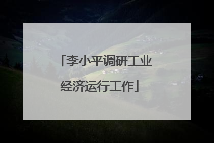 李小平调研工业经济运行工作