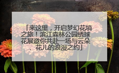 来这里，开启梦幻花境之旅！滨江森林公园绣球花展邀你共赴一场与云朵、花儿的浪漫之约