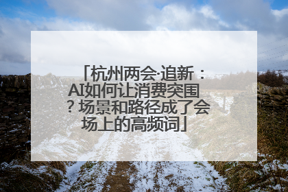 杭州两会·追新：AI如何让消费突围？场景和路径成了会场上的高频词